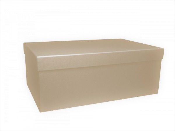 NACHHALTIG: PURE BOX L IN SANDFARBEN mit Deckel im Format L 280 × 173 × 108 mm von artoz